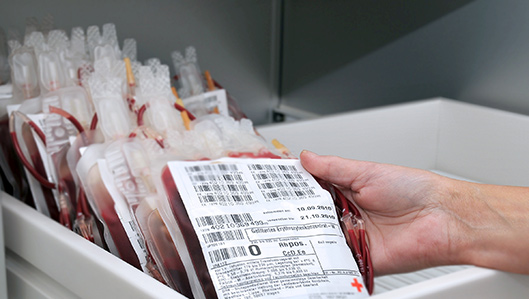 Blutspenden zur Transfusion